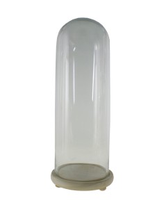 Cloche haute en verre avec socle en bois pour exposer des objets décoratifs.