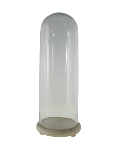 Cúpula campana de cristal alta con base madera para exposición de objetos decorativos. Medidas: 60x22 cm.