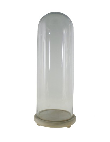 Cúpula campana de cristal alta con base madera para exposición de objetos decorativos