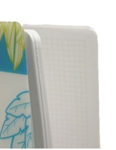 Carnet à anneaux pour enfants, couvertures en plastique transparent avec motif, feuilles quadrillées, format A4 2