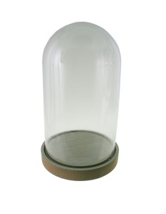  Cúpula campana de vidre amb base fusta per exposició de figures