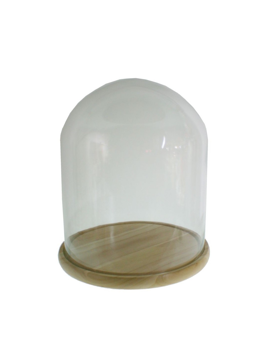Cúpula campana de cristal ancha con base de madera para exposición de objeto decorativos
