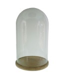 Cúpula campana de cristal alta con base de madera para exposición de objeto decorativos