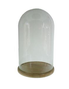 Cúpula campana de cristal alta con base de madera para exposición de objetos decorativos. Medidas: 48xØ29 cm.