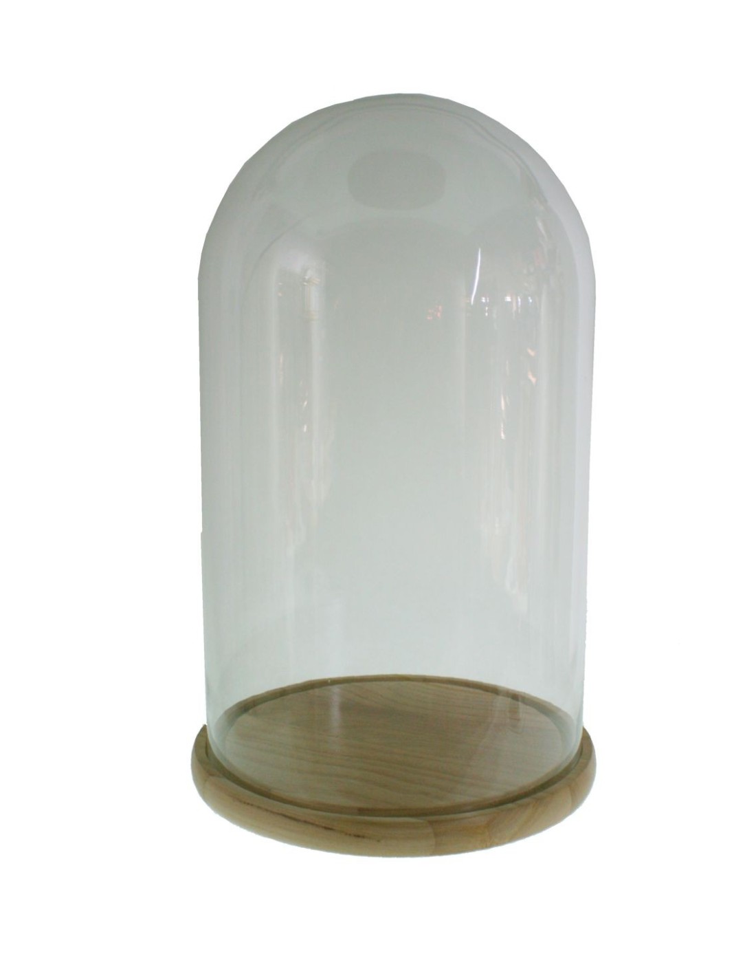 Cúpula campana de cristal alta con base de madera para exposición de objeto decorativos
