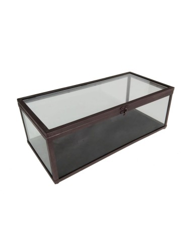 Urna de Cristall Rectangular amb Perfils Metàl·lica, Caixa per a Exposició, Decoració Llar, Estil Retro. Mides: 15x20x32 cm.
