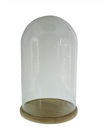 Cúpula campana de cristal ancha con base de madera para exposición de objetos decorativos.