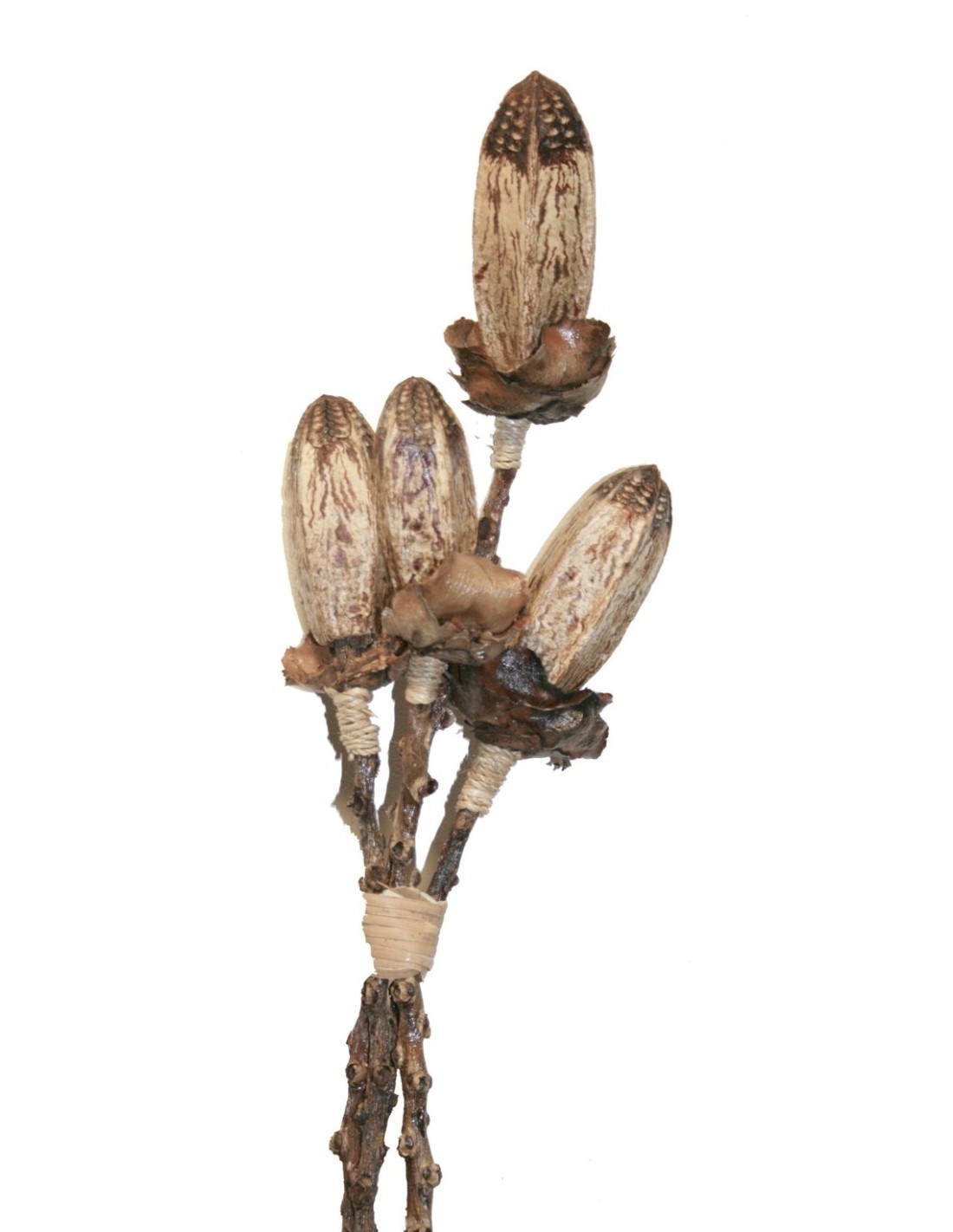Ramillete Flores secas para decoración en el hogar, ramo de 4 flores para jarrón estilo vintage . Medidas: 80x10x10 cm.