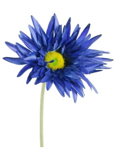 Flor artificial gerberes de color blau amb pètals de tela i tija llarg decoració adorn llar