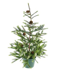 Avet de Nadal petit en test amb pinyes Arbre artificial decoració nadalenca per a llar