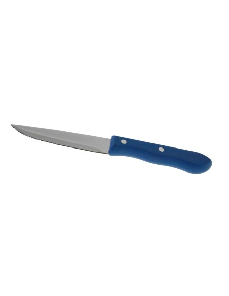 Cuchillo para cocinar con hoja de sierra con mango color azul útiles menaje de cocina. Medidas: 25 cm.
