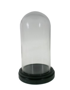 Cúpula campana de cristal con base madera color nogal para exposición de objetos decorativos