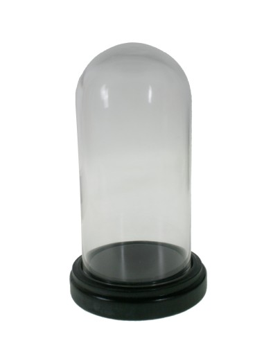 Cúpula campana de vidre amb base fusta color noguera per exposició d'objectes decoratius