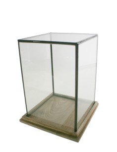 Urna de cristal con perfil metálico y base de madera para exposición de objetos decorativos