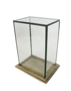 Urna de cristal rectangular con perfil metálico y base de madera natural para exposición decorativa