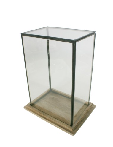 Urna de cristal rectangular con perfil  metálico y base de madera natural para exposición decorativa