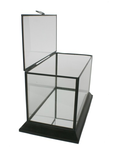 Urna de cristal y perfilaría metálica con tapa superior para exposición de objetos decorativos