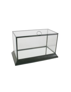 Urna de cristal y perfilaría metálica con tapa superior para exposición de objetos decorativos 2