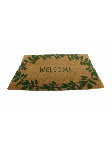 Grand paillasson rectangulaire de couleur verte Welcome design en fibre de coco pour porte d'entrée, maison, jardin ou terrasse