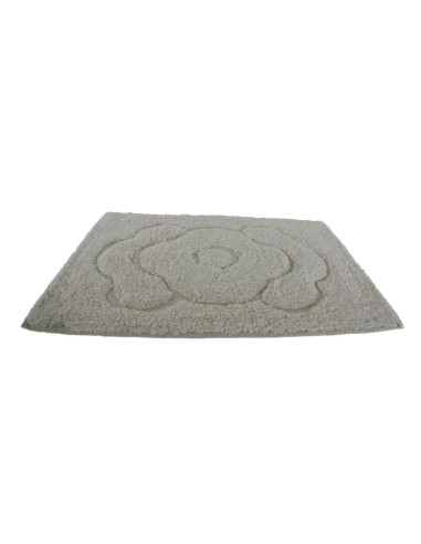 Tapis de bain et tapis de douche couleur et design beige